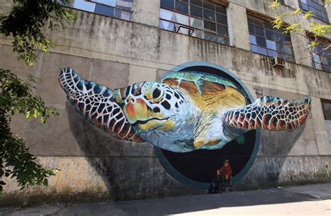 Martin Ron turtle mural Archives - Buenos Aires Street Art and Graffiti ...