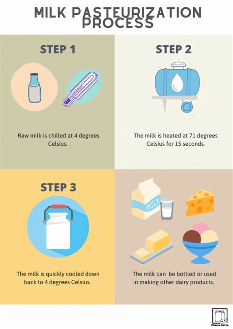 Milk Pasteurization Process - Cheese Kettle