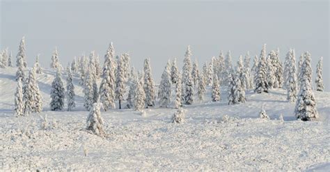 Winter Oymyakon Yakutia From A Bird`s-eye View. Stock Photo - Image of ...