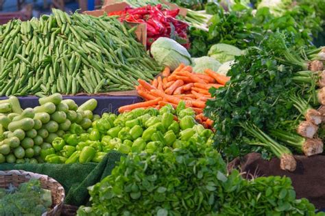 Variety of Colorful Fresh Organic Vegetables and Greenery on the Farmers Market Stall Stock ...