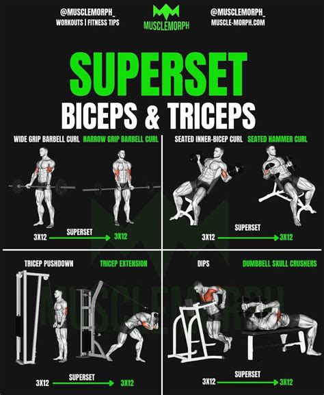 MuscleMorph - 💪🦾SUPERSET BICEPS & TRICEPS by @MUSCLEMORPH_... | Facebook