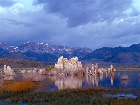 Mono Lake California picture, Mono Lake California photo, Mono Lake ...