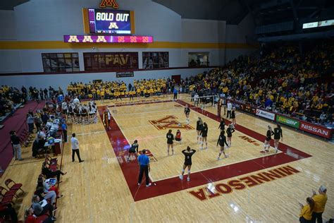 Gopher Volleyball Closes Non-Conference on Five Match Win Streak - The Daily Gopher