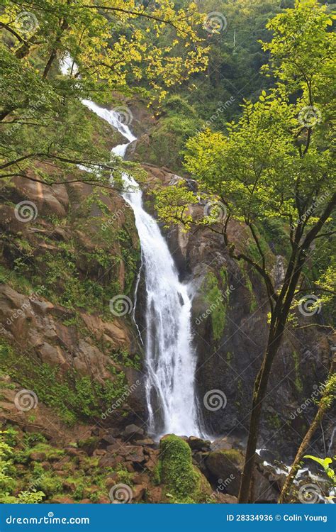 Costa Rican Rainforest Waterfall Stock Photo - Image of lush, latin: 28334936