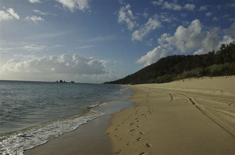 Moreton Island - Queensland Australia | Tall sand dunes, mil… | Flickr