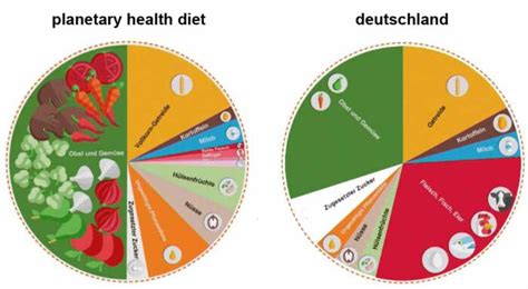 planetary-health-diet — Soulfood Nutrition Konstanz