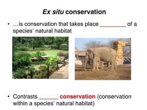 PPT - CONSERVATON BIOLOGY Lecture14 – Spring 2014 Althoff Reference ...