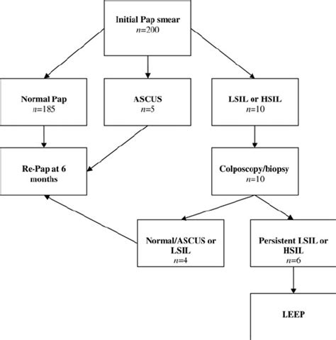 Management of Pap smear results. HSIL 1⁄4 high-grade intraepithelial... | Download Scientific ...