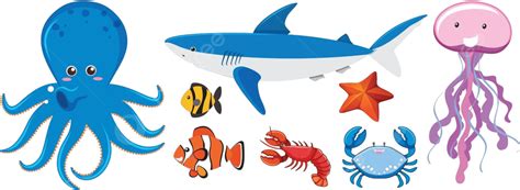 A Set Of Sea Creatures Cartoon Shark Water Vector, Cartoon, Shark ...