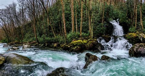 Big Creek Trail: Midnight Hole, Mouse Creek Falls, GSM Summer Hikes