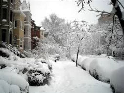 Arlington Weather: 2017 Snowstorm Live Feed - Arlington, VA Patch