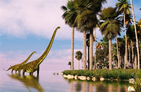 A Complete Dinosaur Timeline to Extinction: How Long Did They Roam Earth? | Discover Magazine