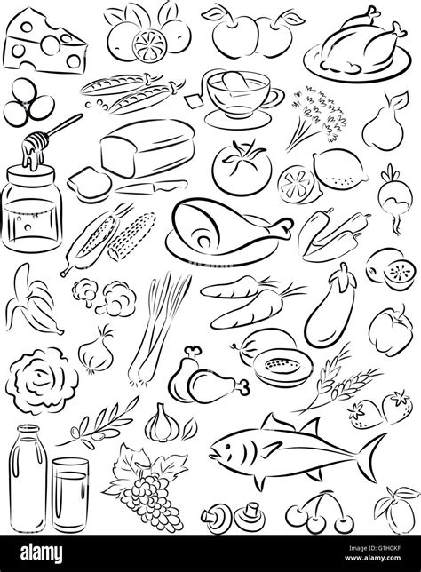 vector illustration of healthy food collection in line art food Stock ...