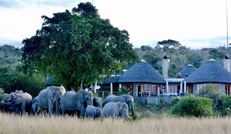 THE 5 BEST South Africa All Inclusive Resorts - Jul 2022 (with Prices) - Tripadvisor