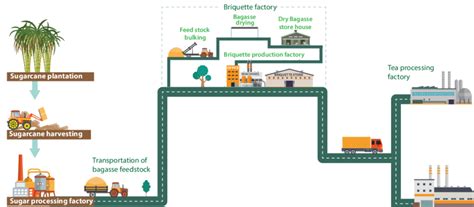 1 Value chain of sugarcane bagasse briquettes | Download Scientific Diagram