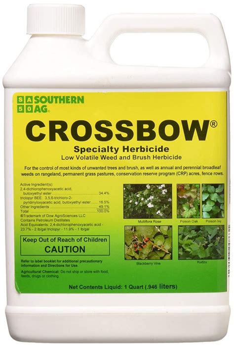 8 Best Herbicide For Creeping Charlie 2021 (Reviews) - Best Garden Outdoor