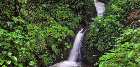 Monteverde Lodge & Gardens