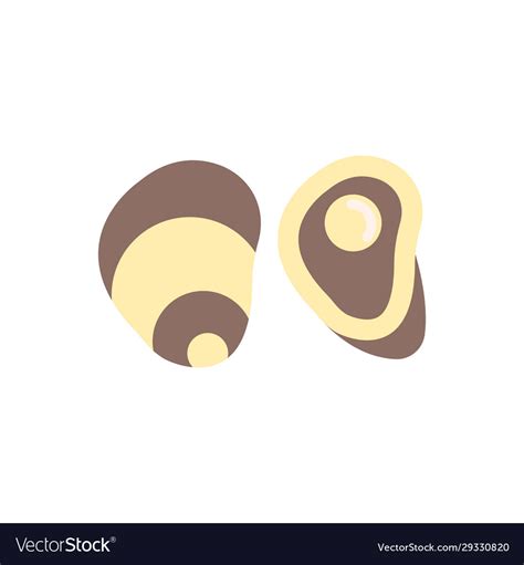 Oyster Royalty Free Vector Image - VectorStock