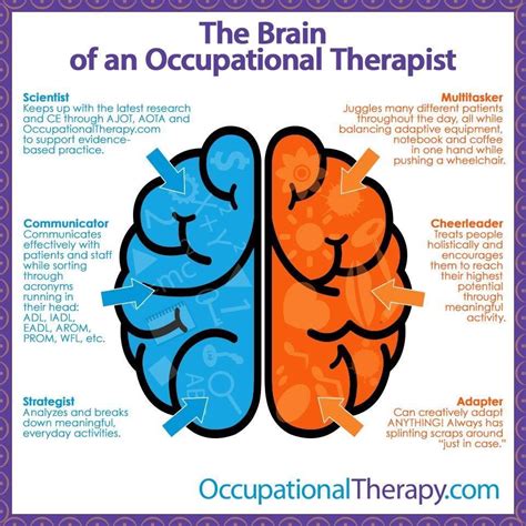 What Is Occupational Therapy, Occupational Therapy Assistant ...