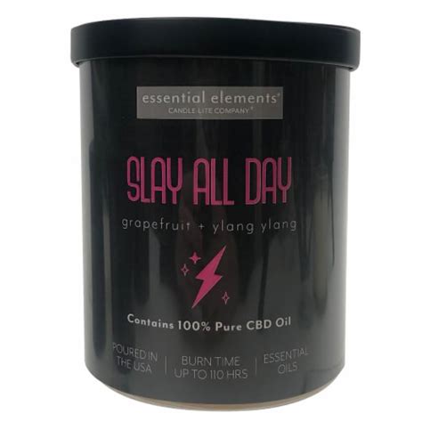 Candle-Lite Company® Essential Elements® Slay All Day 2-Wick Candle - Grapefruit and Ylang Ylang ...