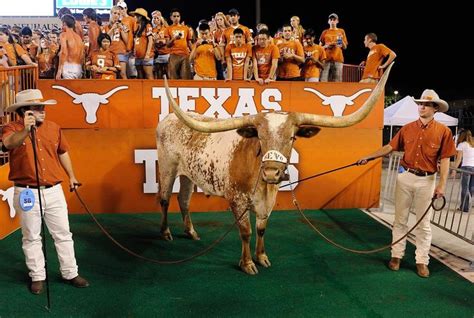 The 25 Best Mascots in College Football | Texas longhorns football ...