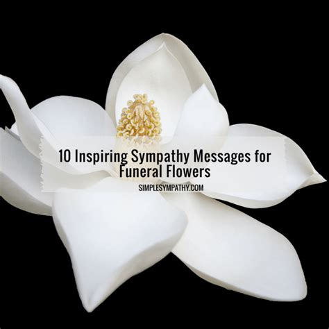 10 Inspiring Sympathy Messages for Funeral Flowers – Simple Sympathy