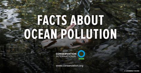 Ocean pollution - 11 facts you need to know