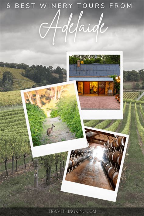 6 Best Winery Tours from adelaide 2024