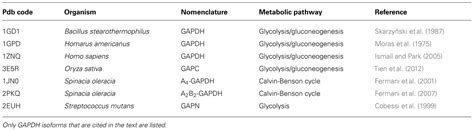 Frontiers | Plant cytoplasmic GAPDH: redox post-translational ...