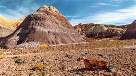 Canyon de Chelly Hiking & Camping Adventure | REI Co-op