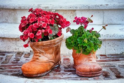 Flower-shaped shoes with ornamental ... | Stock image | Colourbox