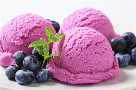 Blueberry Ice Cream recipe | Homemade Blueberry Ice Cream - Vaya.in