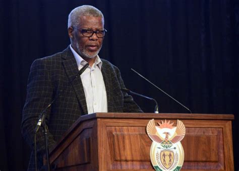 ANC veteran Mavuso Msimang quits party over ‘endemic corruption’ | City ...