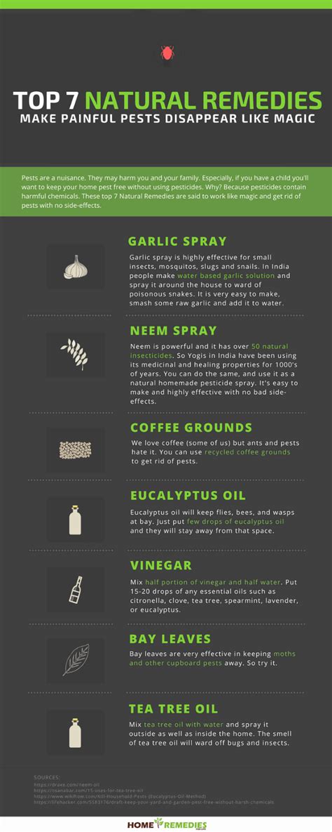 Top 7 Natural Remedies – Make Painful Pests Disappear Like Magic – Wellness.guide