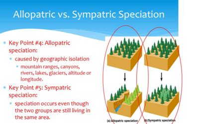 Small Things Considered: Of Terms in Biology: Sympatry and Allopatry