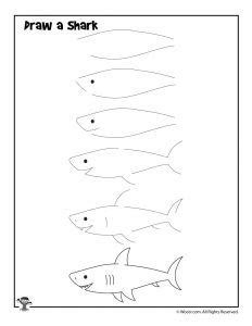 How to Draw for Kids: 12 Ocean Animals to Draw, Step by Step | Woo! Jr ...