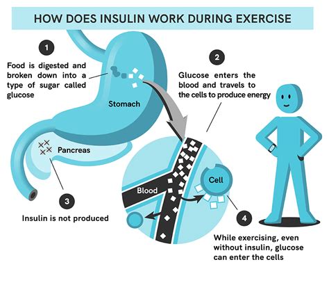 How Does Exercise Affect My Blood Glucose Levels – GluCare