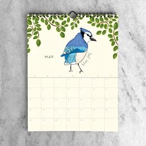 2024 Calendar Illustrated Birds Calendar 2024 2024 Wall - Etsy