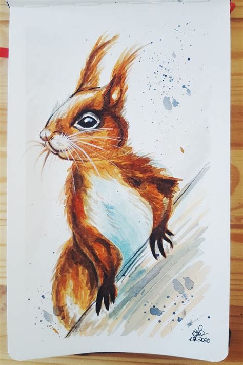 Watercolor Painting Animal Squirrel | Watercolor for beginners | Animal paintings, Watercolor ...