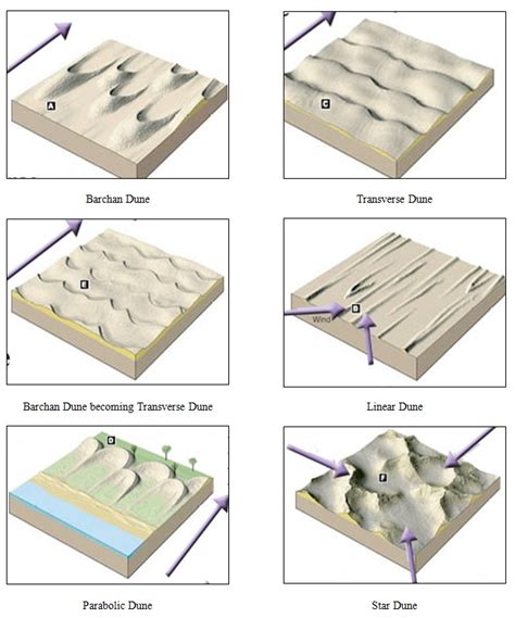 Types Of Sand Dunes