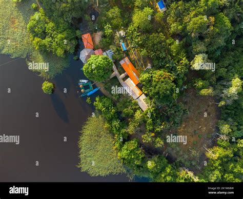 Aerial view of a local guest house in the amazon rainforest with a little pier and small wooden ...