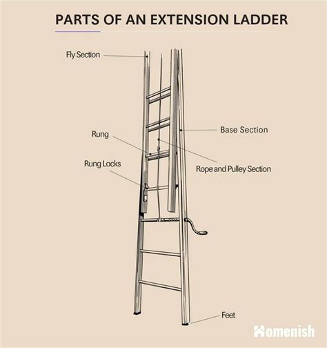 Parts of a Ladder (2 Diagrams For Step Ladder & Extension Ladder) - Homenish | Ladder, Step ...