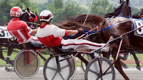 What Is Horse Racing with a Cart Called? and What's a Sulky?