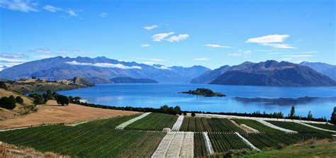 Rippon - Winery Profile | Producer | Wine-Searcher