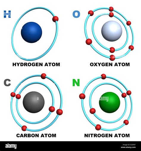 hydrogen oxygen carbon and nitrogen atom Stock Photo - Alamy