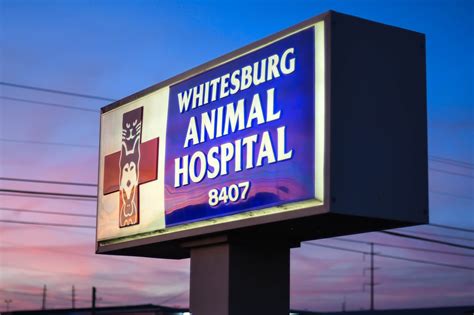 Whitesburg Animal Hospital - Home