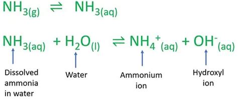 Ammonia And Water Reaction Equation - Tessshebaylo