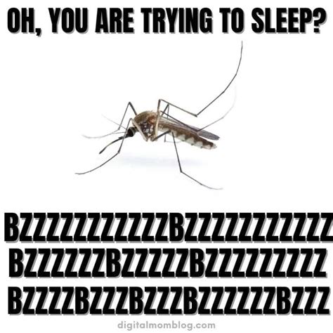 20 Funny Mosquito Memes For Bite Victims