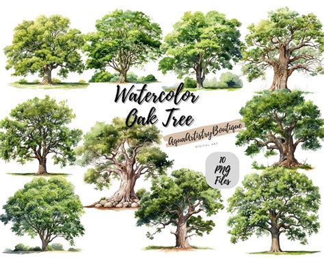 Watercolor Oak Tree Digital Download Wall Art Watercolor Clipart Oak ...