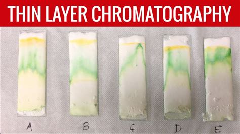 How does chromatography separate pigments